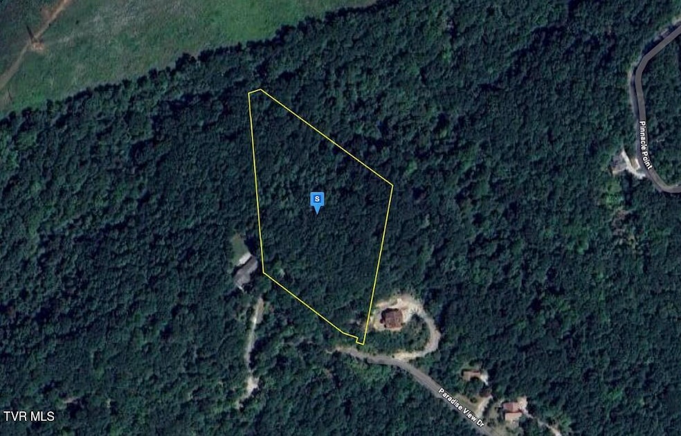 9098 Paradise View Dr, Mooresburg, TN 37811 - photo 1