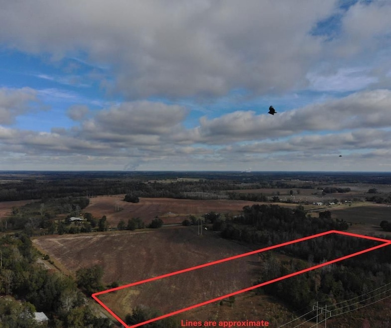 0 Fish Pynes Rd, Pansey, AL 36370 - photo 1