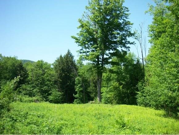 283 Quails Hill Rd, Brattleboro, VT 05301 - photo 1