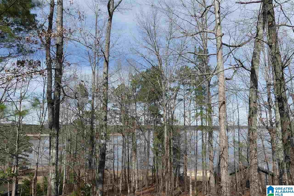 LOT # 20 Overlook Dr, Wedowee, AL 36278 - photo 1