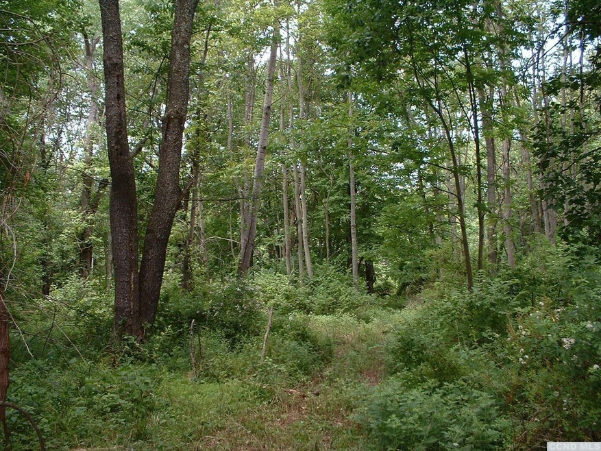 0 Willowbrook Rd, Livingston, NY 12541 - photo 1