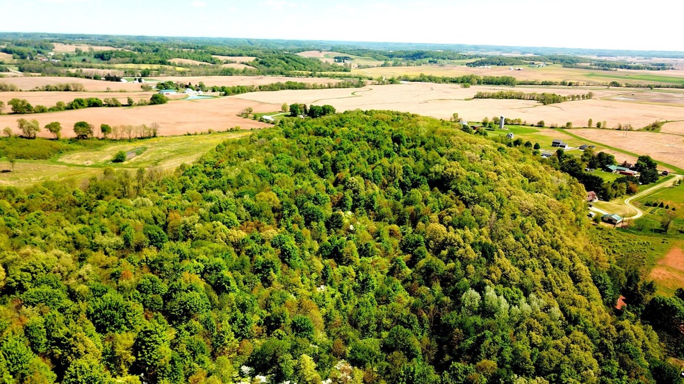 DJI_0131
