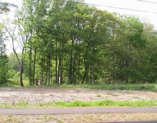 Land/Lot.