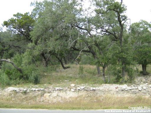 19707 Terra Mont, San Antonio, TX 78255 - photo 1