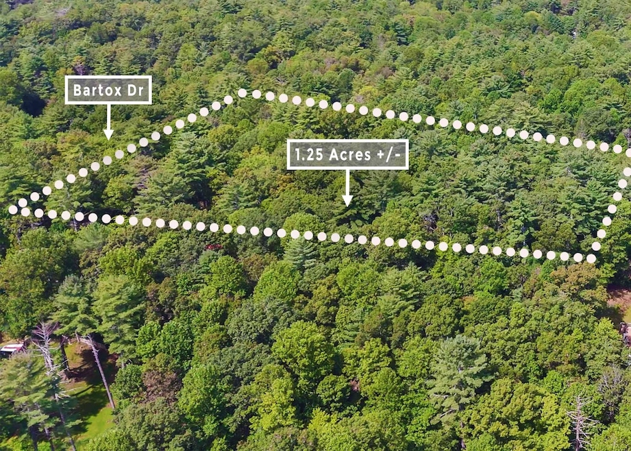 211 Bartox Dr, Ellijay, GA 30540 - photo 1