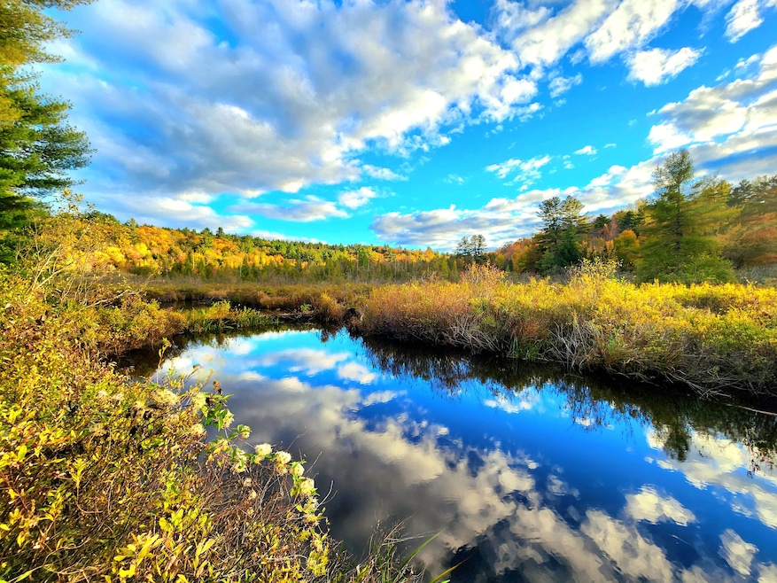 17 Blanchard Dr, Diana Center, NY 13648 - photo 1