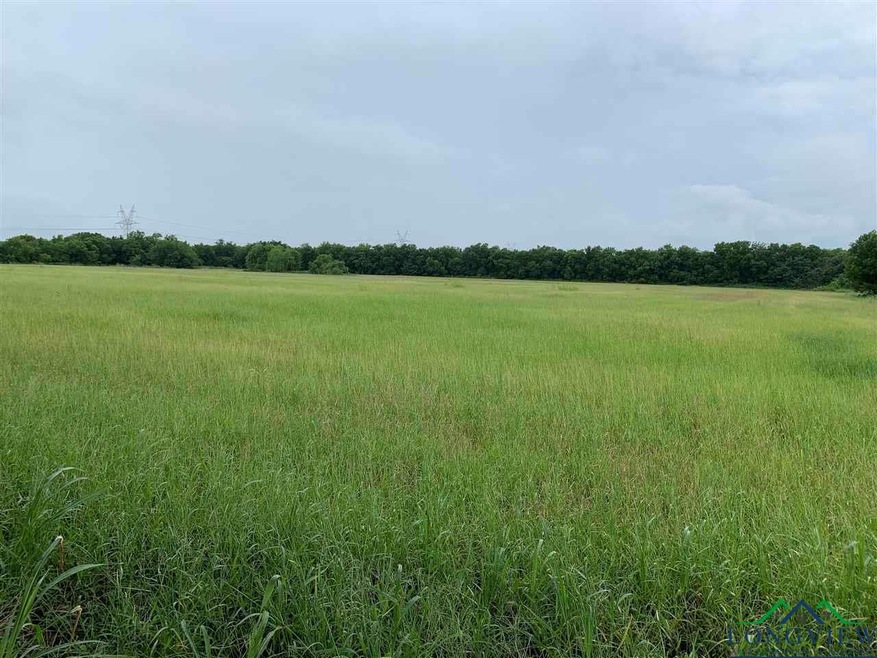 TBD 8 County Road 4307, Greenville, TX 75401 - photo 1
