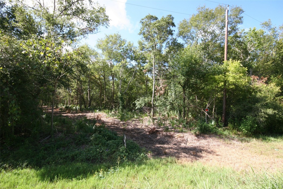 0 County Road 659 unit 75435448, Brazoria, TX 77541 - photo 1
