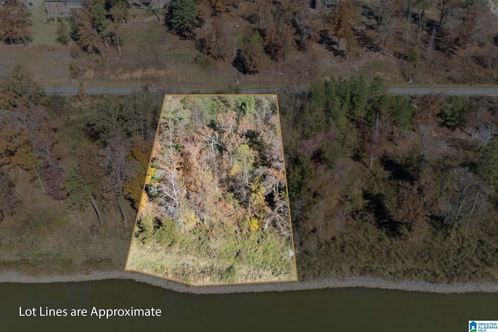 0 Willow Dr unit 21436835, Lincoln, AL 35096 - photo 1