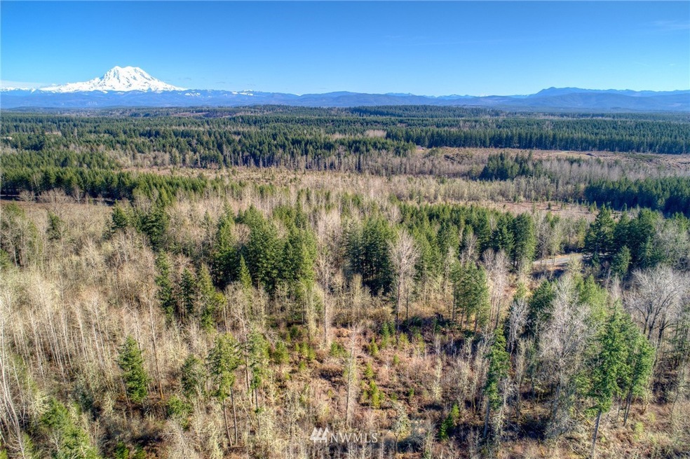 unlisted-address, Roy, WA 98580 - photo 1