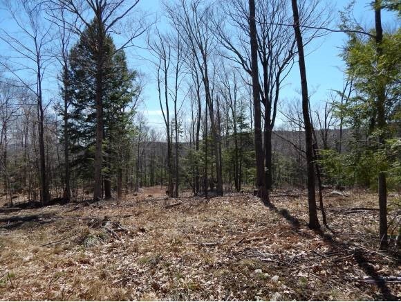 Lot 15 Tammy Drive & Egan Rd, Unity, NH 03603 - photo 1