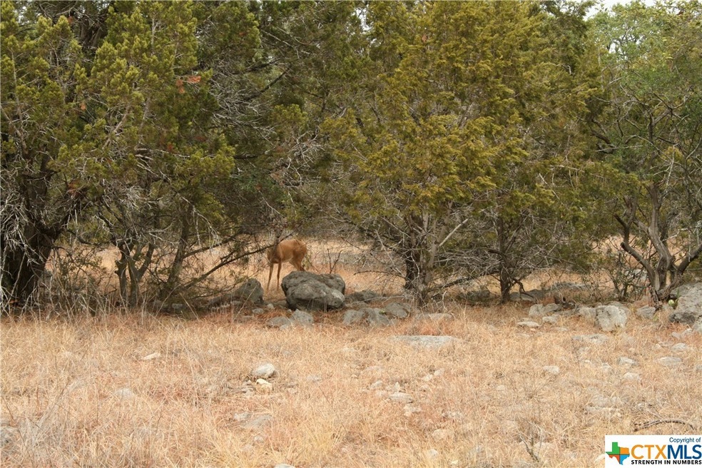 Wildlife comes free