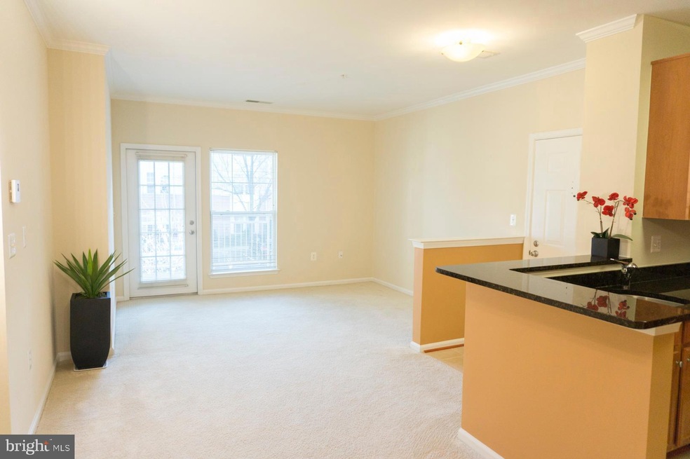 1516 N Point Dr unit 204, Reston, VA 20194 - photo 1