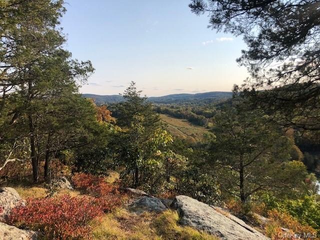 Magnificent views from the property summit.