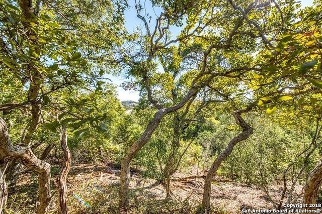 LOT28 Basilone Ridge, San Antonio, TX 78255 - photo 1