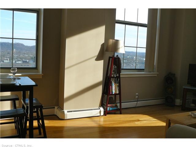 Living Room. Two of the three windows in the Livin