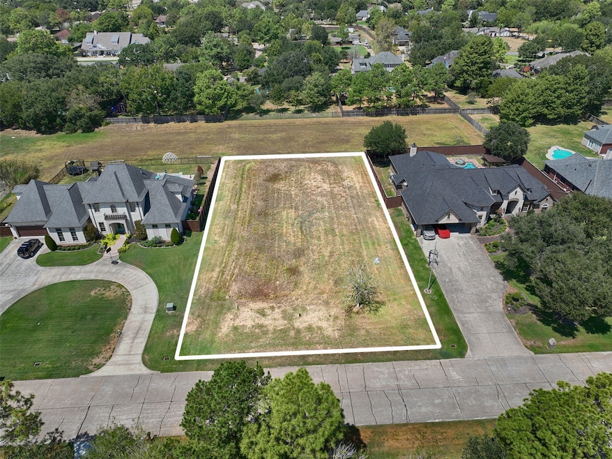 812 Briarmeadow Ave, Friendswood, TX 77546 - photo 1