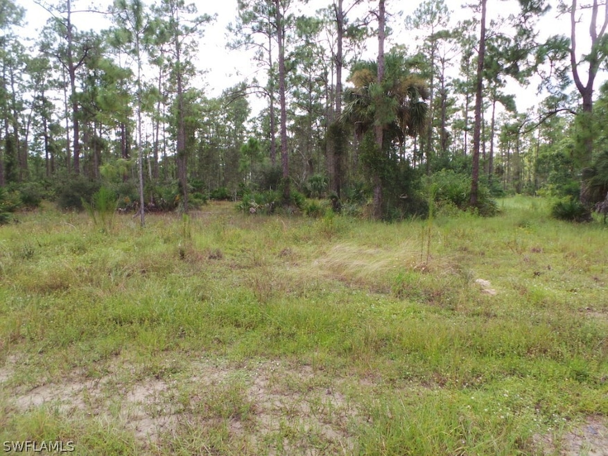 2111 Truman Ave, Alva, FL 33920 - photo 1