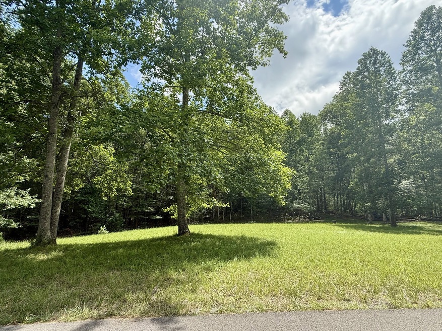 0 Shadow Rock Lot 17, Monteagle, TN 37356 - photo 1