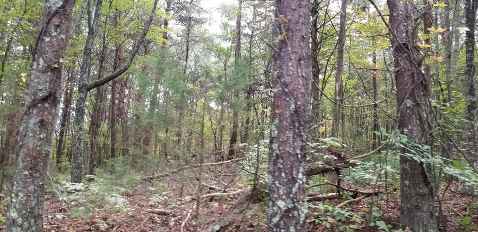 20181023165206846960000000-o