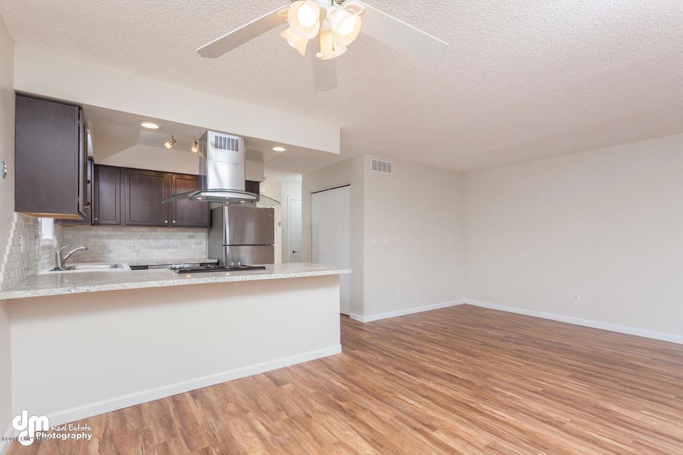390 Dannilyn Circle Anchorage-large-006-