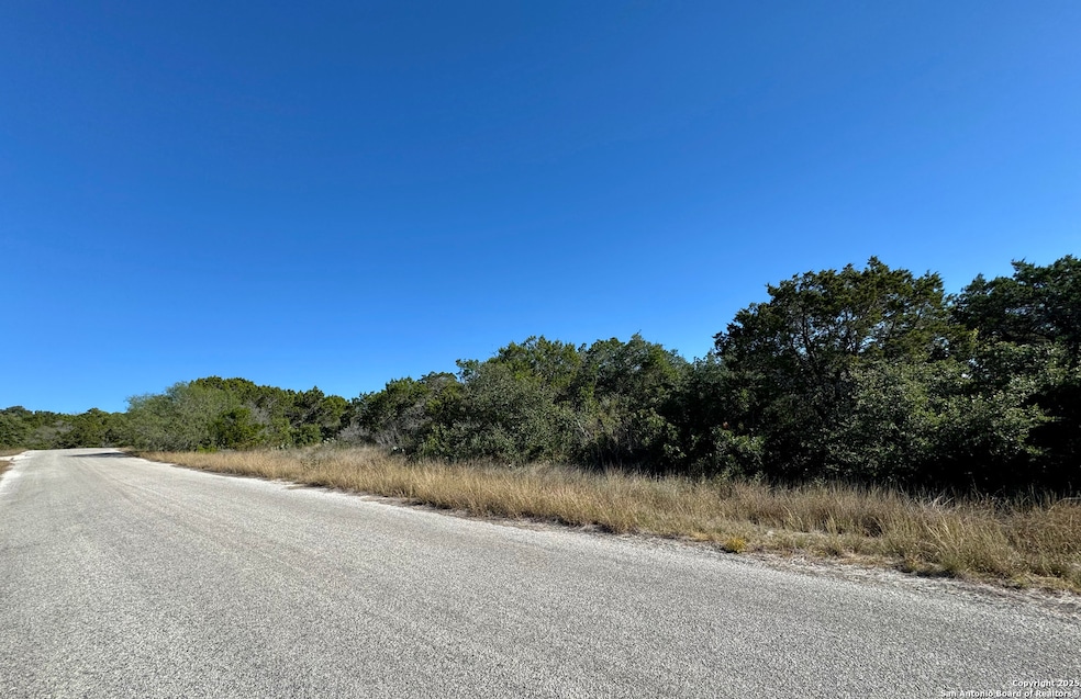 LOT 182 County Road 2816, Mico, TX 78056 - photo 1