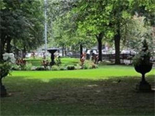 Carousel Image