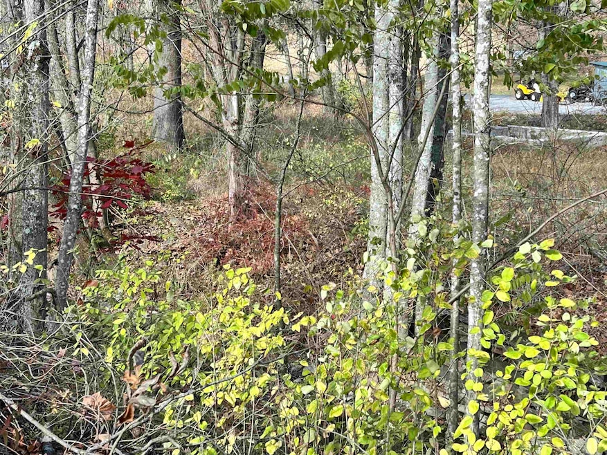 For Sale $38,500 • Co-Listing Agent