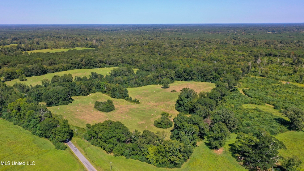 Clifton Rd-60 Acres-6