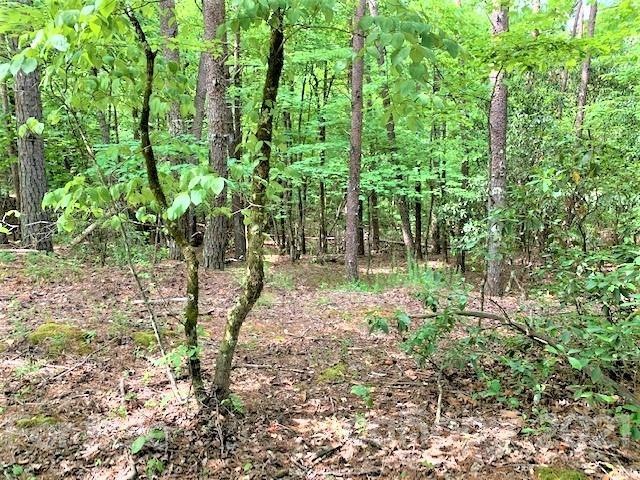 Lot 309 Sanderling Ct, Lake Lure, NC 28746 - photo 1