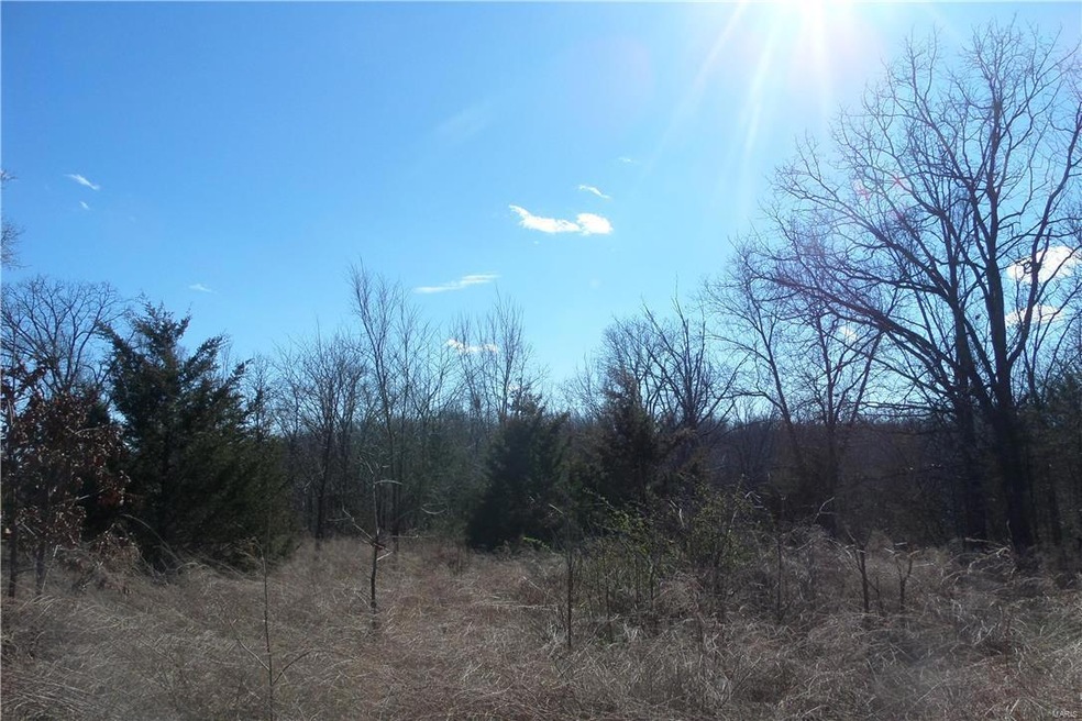 0 Conway Rd unit 17015717, Dixon, MO 65459 - photo 1