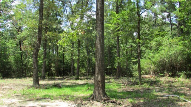 Lot 2 Deer Pond Rd, Lufkin, TX 75904 - photo 1