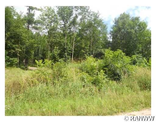 16726 Moose Ear Rd, Chetek, WI 54728 - photo 1