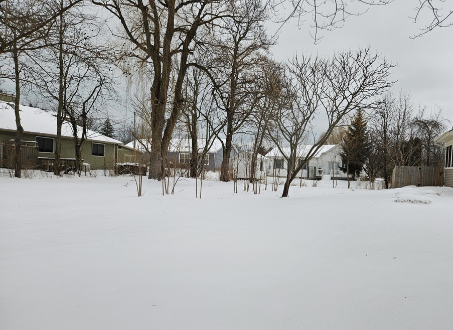 Michigan Dr. - Pic #2
