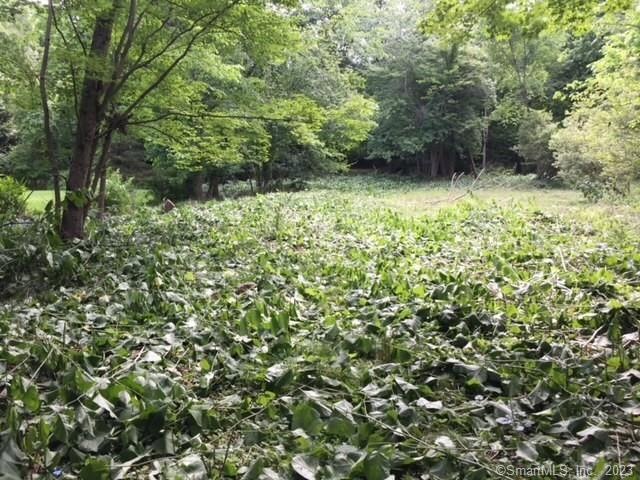 149 Don Bob Rd, Stamford, CT 06903 - photo 1