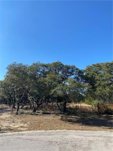 3.28 Acres, Cul de sac, fenced, Electricity PECI has been brought to the lot.  The water line has also been brought into the cul de sac.  West Travis Water PUA.  Septic will be needed.
