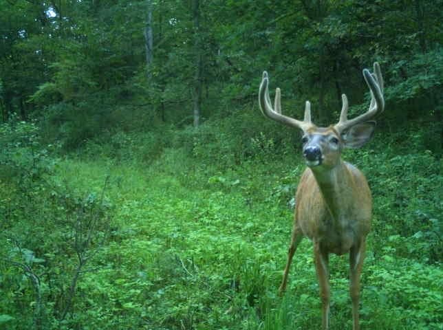 32974 Potter Ln, Muscoda, WI 53573 - photo 1