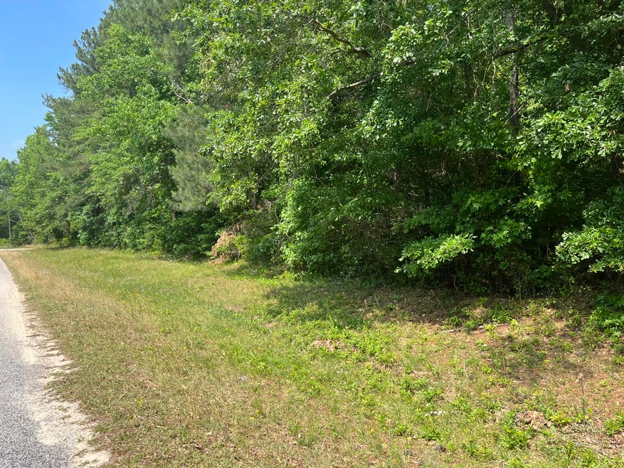 691 Byrd Rd, Harlem, GA 30814 - photo 1