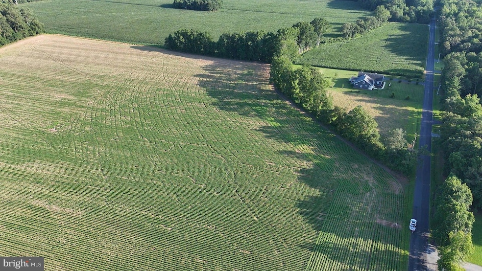 PARCEL A Russell Rd, Bridgeville, DE 19933 - photo 1