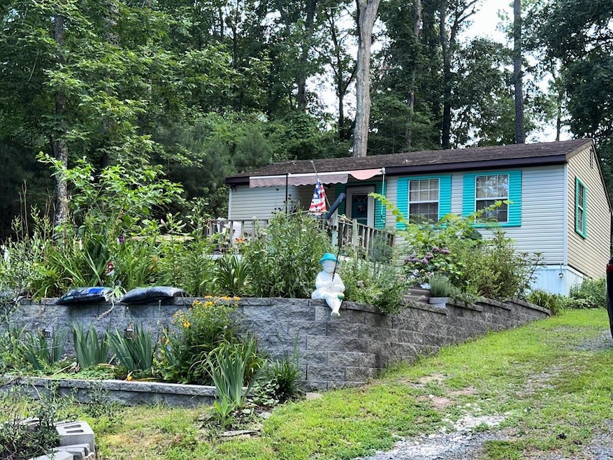 Main View