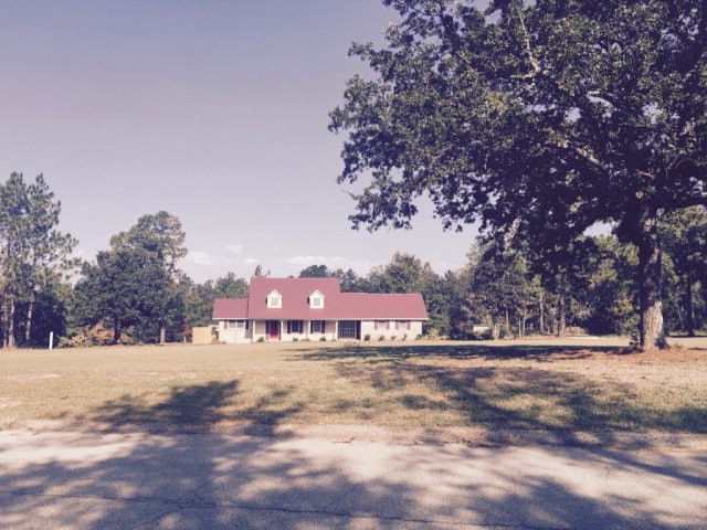 Main View
