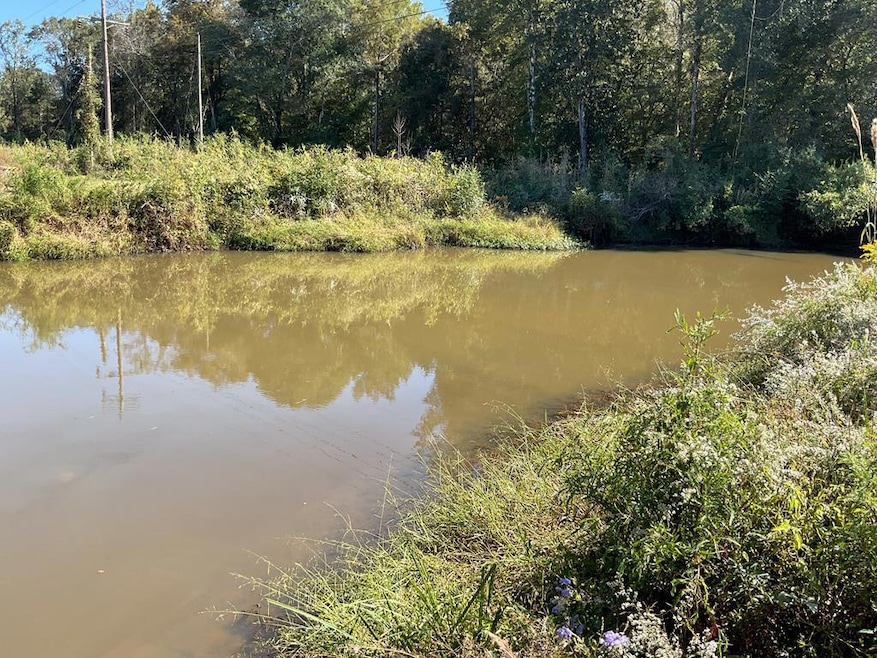 3200 Alabama 10, Brundidge, AL 36010 - photo 1