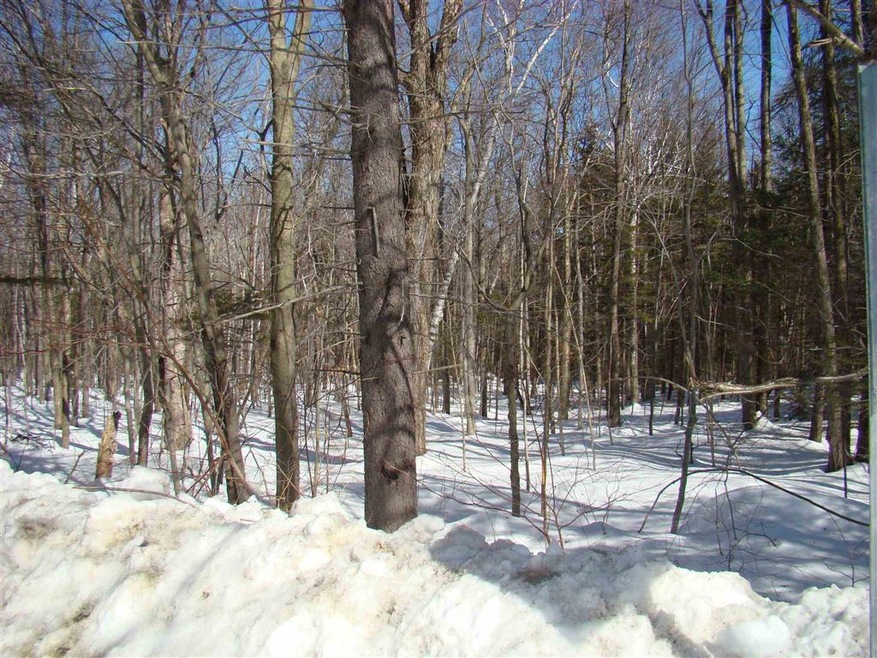 0 Shippee Rd, Readsboro, VT 05350 - photo 1
