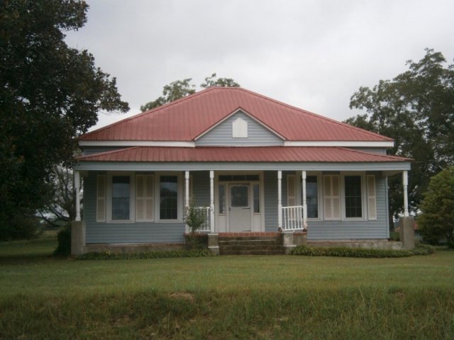 Primary Photo