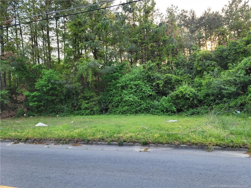 1052 Winslow St, Fayetteville, NC 28306 - photo 1