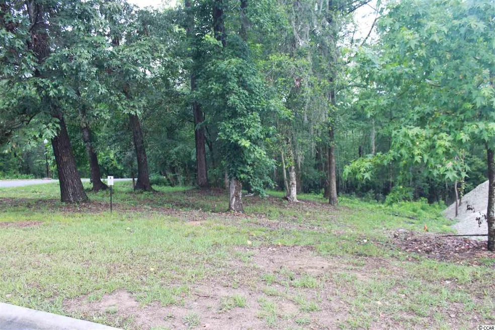 32 Rivers Edge Dr, Conway, SC 29526 - photo 1