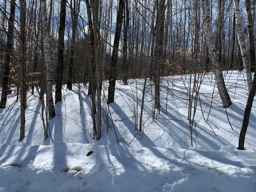 0 Fish Meadow Rd, Livermore, ME 04253 - photo 1