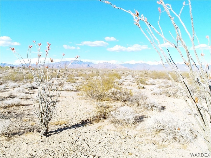 Parcel 3040 Castle Butte Rd