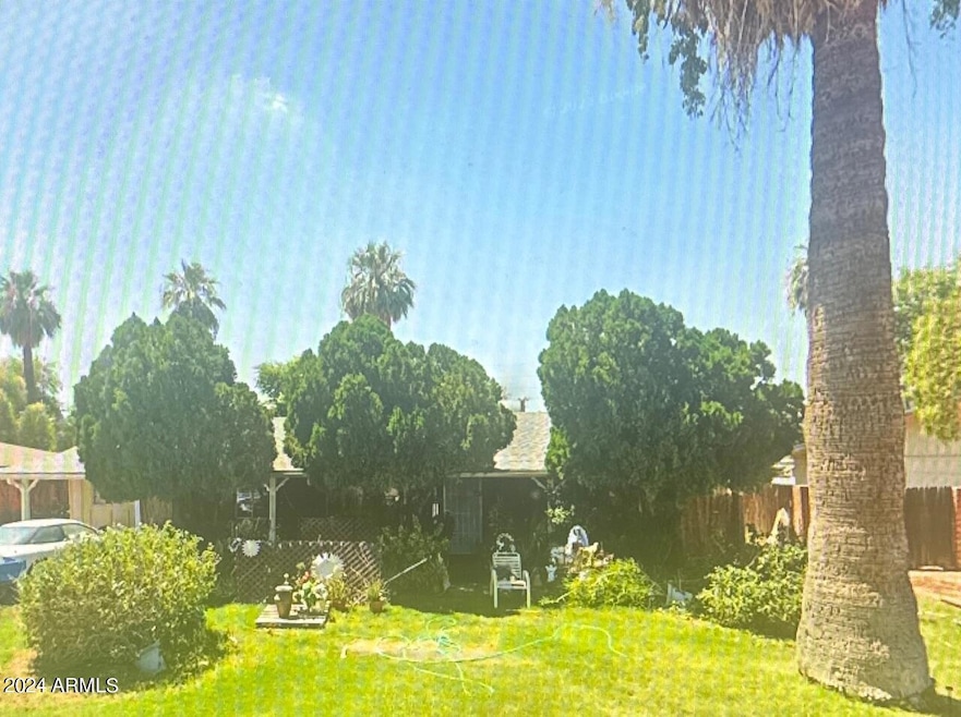 Front Yard