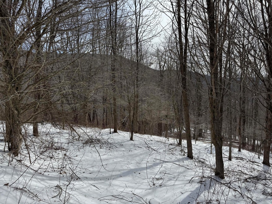Tract 3 Big Spring of Elk